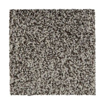 Mohawk Certain Exposure I Mystique