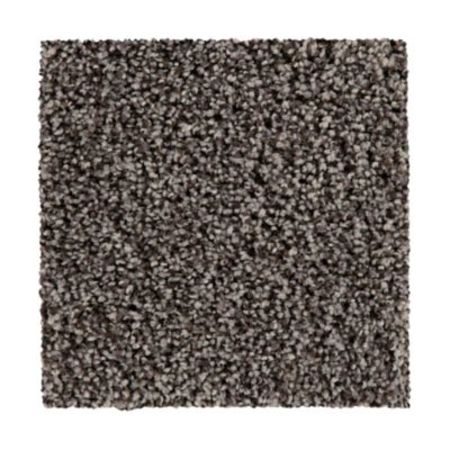 Mohawk Certain Exposure II January Frost