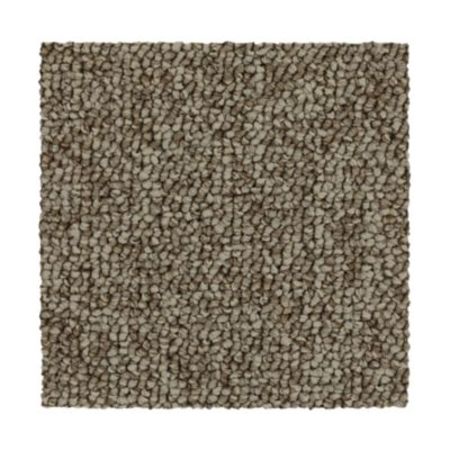 Mohawk Unique Comfort Ancient Treasure