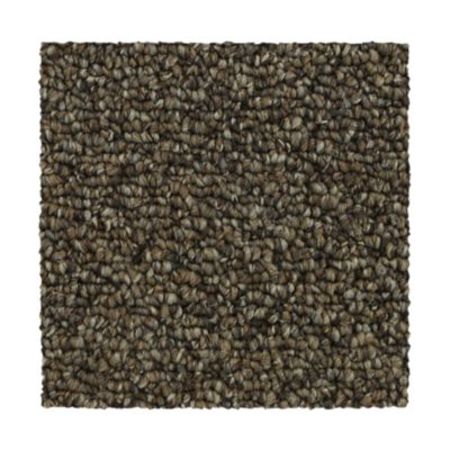 Mohawk True Amazement Copper Tones