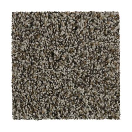 Mohawk Treasured Ambience Silk Canvas