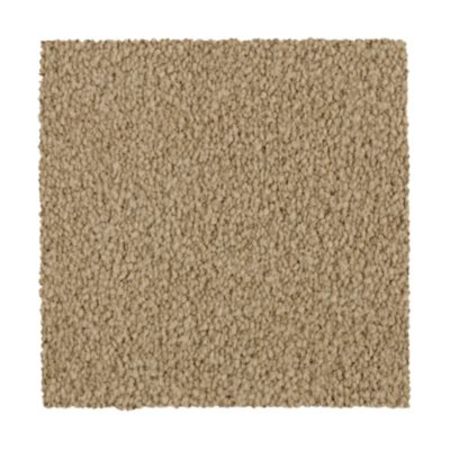 Mohawk Coastal Harmony I Shoreline