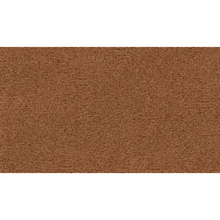 Mohawk Calming Image I Autumn