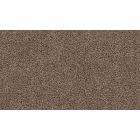 Mohawk Calming Image I Perfect Taupe