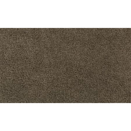 Mohawk Calming Image II Dakota