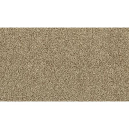 Mohawk Captivating Concept Toasted Almond