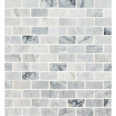 MSI Backsplash & Wall Tile Brick Tile Carrara Classique