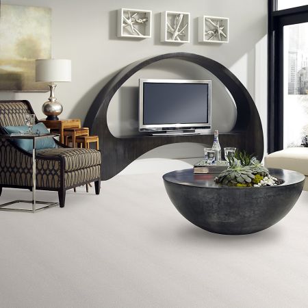 Shaw Floors Nfa/Apg Natural Ambience Calm