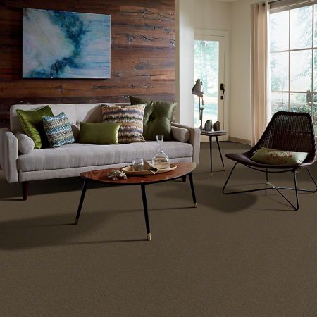Shaw Floors SFA Born Better (s) Garden Grove