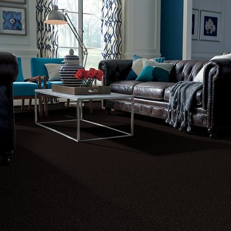 Shaw Floors Roll Special Qs216 Armour