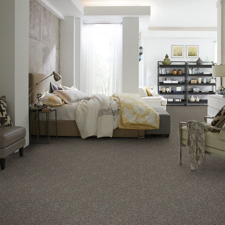 Shaw Floors Everlasting Tonal Hammerhead