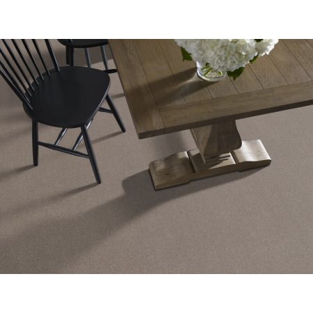 Shaw Floors Xz154 Tree Bark