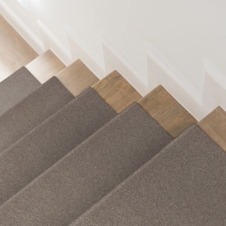 Shaw Floors Xz154 Tree Bark