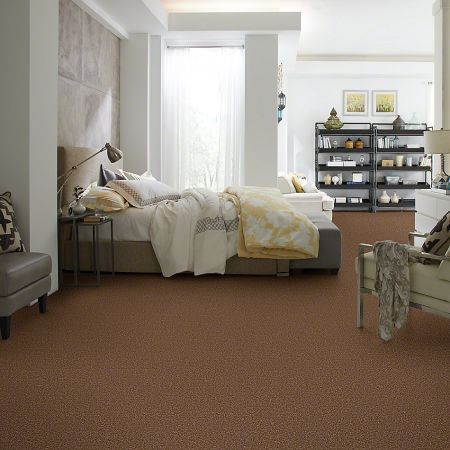 Shaw Floors SFA Drexel Hill II 12' Desert Sunrise