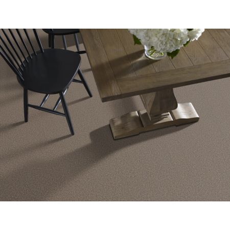 Shaw Floors SFA Tweed Comfort II Gathering