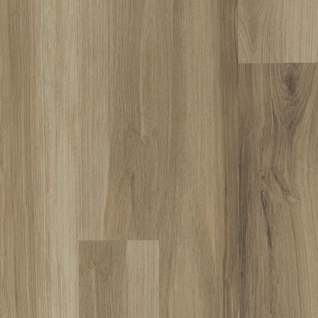 Shaw Floors Resilient Residential Paladin Plus Almond Oak