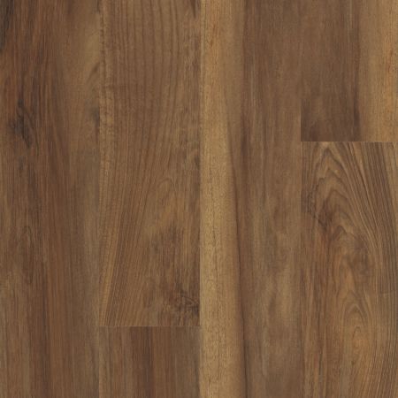 Shaw Floors Resilient Residential Endura Plus Ginger Oak
