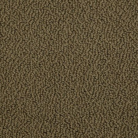 Shaw Floors SFA Danger Zone Garden Grove