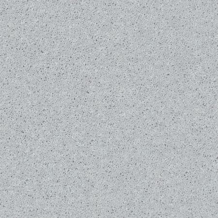 Shaw Floors SFA Take Part 15' Dove