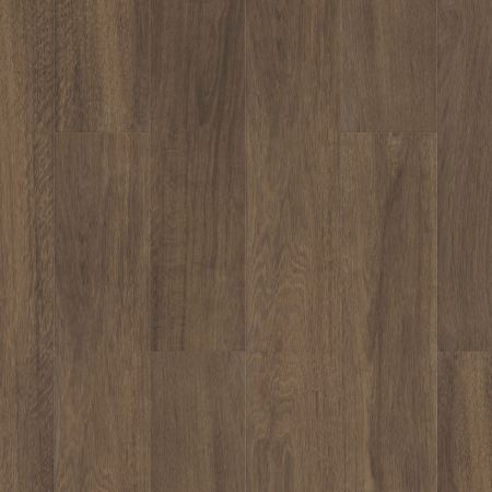 Shaw Floors Resilient Residential Pantheon Hd+ Natural Bevel Cordovan