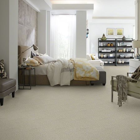 Shaw Floors Simply The Best Attainable Desert Light