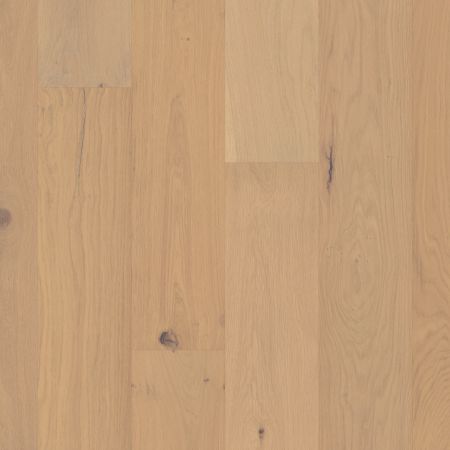 Shaw Floors Shaw Hardwoods Couture Oak Champagne