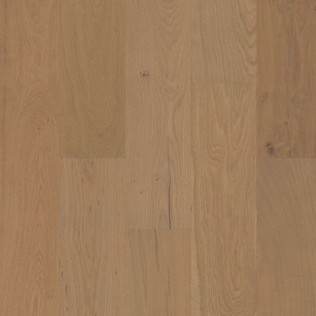 Shaw Floors Shaw Hardwoods Couture Oak Crema
