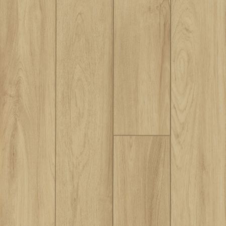 Shaw Floors Resilient Residential Pantheon HD Plus Como