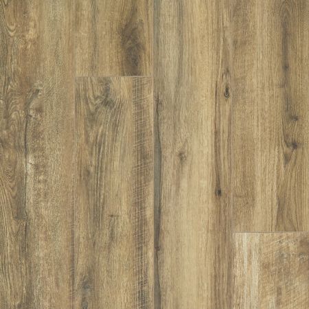 Shaw Floors Resilient Residential Paragon XL HD Plus Hazelnut Oak