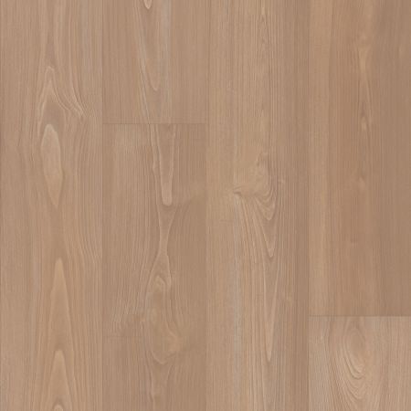 Shaw Floors Resilient Residential Prodigy Hdr Mxl Plus Tannin