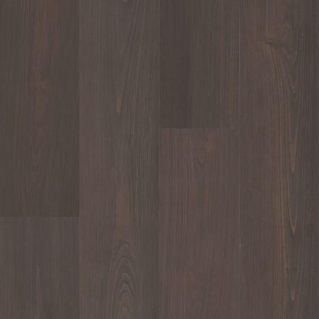 Shaw Floors Resilient Residential Prodigy Hdr Mxl Plus Umber