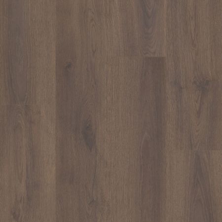 Shaw Floors Resilient Residential Prodigy Hdr Mxl Plus Cobble