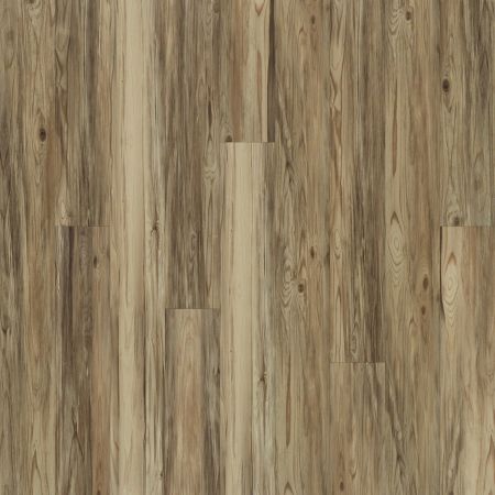 Shaw Floors Resilient Residential Alto Plus Plank Taburno
