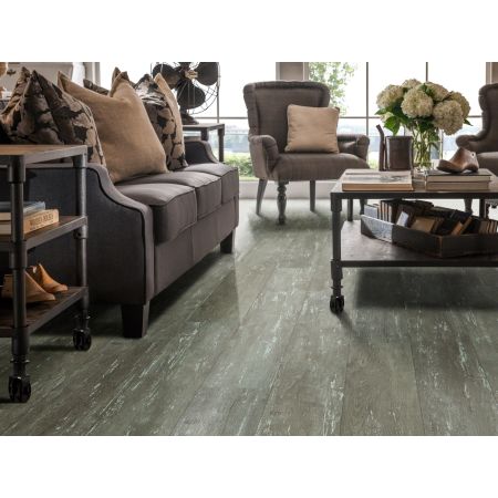 Shaw Floors Resilient Residential Alto Plus Plank Leone