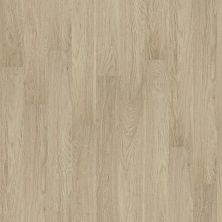 Shaw Floors Resilient Residential Palatino Plus Stadium