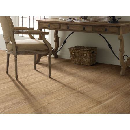 Shaw Floors Resilient Residential Palatino Plus Museum