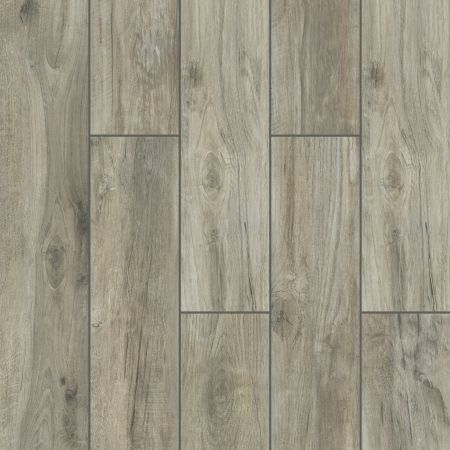 Shaw Floors Ceramic Solutions SAVANNAH 8X48 Silver