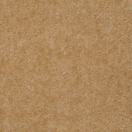 Shaw Floors Atherton Golden Grain