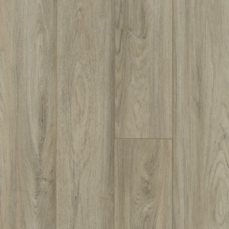 Shaw Floors SFA Antica HD Plus Pisa