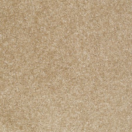 Shaw Floors Instant Winner Tweed