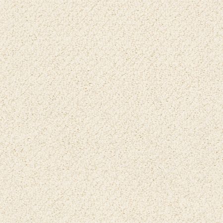 Shaw Floors Traditional Elegance Ivory Lace