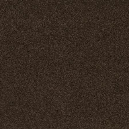 Shaw Floors Shaw Floor Studio Before Dawn (s) Brown Sugar