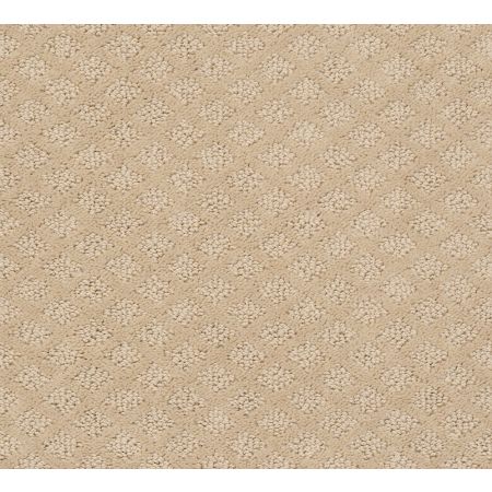 Shaw Floors Padova Dunes