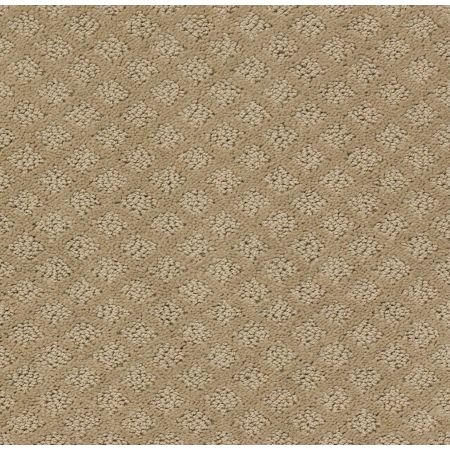 Shaw Floors Padova Mushroom