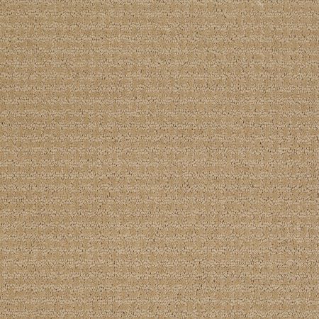 Shaw Floors Shaw Floor Studio Best Hope Natural Wood