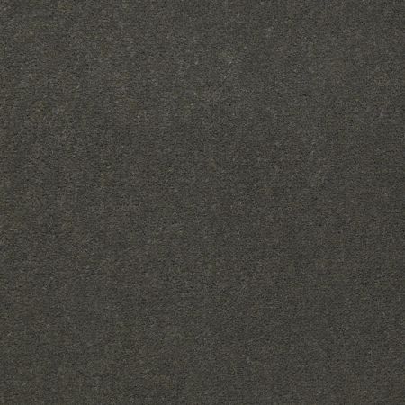 Philadelphia Commercial Midday 36 Island Moss