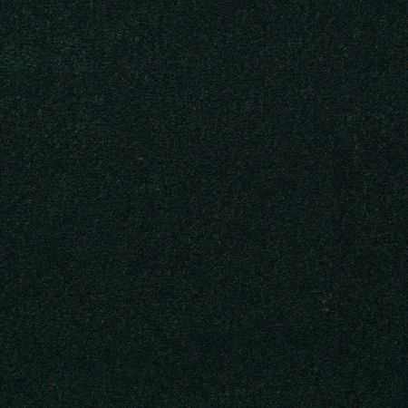 Philadelphia Commercial Midday 36 Mountain Pine