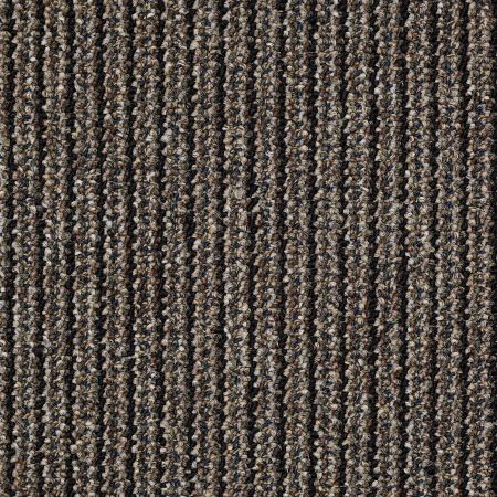 Philadelphia Commercial Chatterbox Babbler