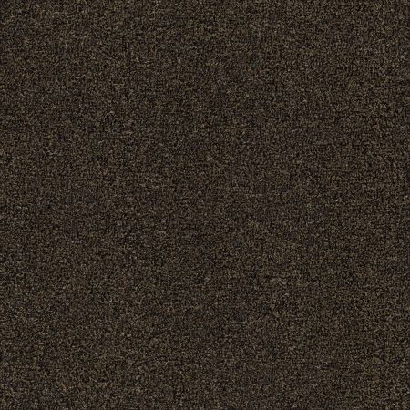 Philadelphia Commercial Tactic I Rocky Road