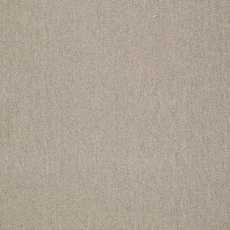 Philadelphia Commercial Neyland III 20 15' Sweet Onion